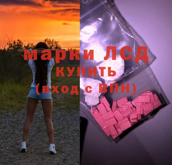 ПСИЛОЦИБИНОВЫЕ ГРИБЫ Алексеевка