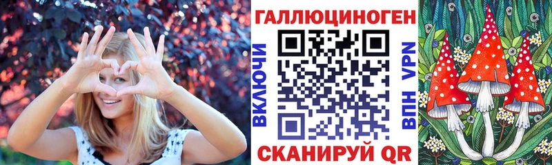 OMG ТОР  Кулебаки  Псилоцибиновые грибы Psilocybine cubensis  закладка 