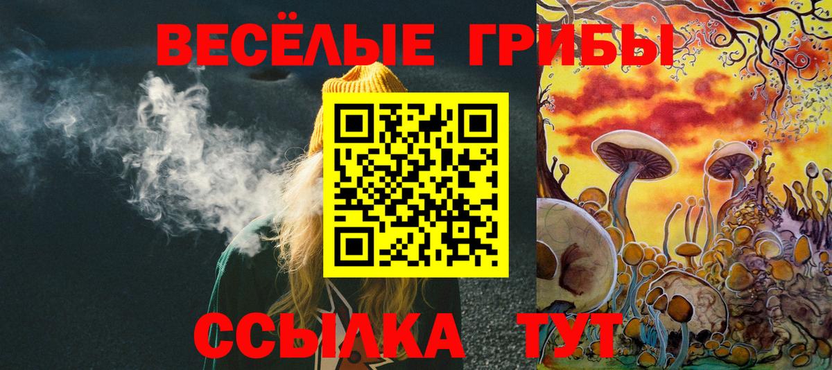 Псилоцибиновые грибы ЛСД Кулебаки