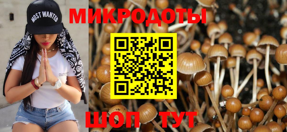 Кулебаки  Галлюциногенные грибы прущие грибы  купить наркоту  Вход с VPN 